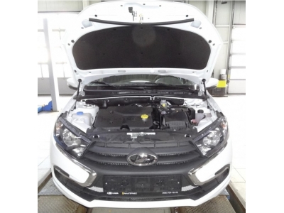 Упоры-амортизаторы капота 2 штуки A-Engineering для Lada Granta FL 2018-2021