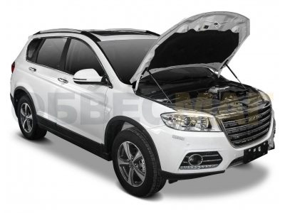 Амортизаторы капота Автоупор, 2 шт. для Haval H6 2014-2020
